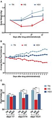 Antioxidative and anti-inflammatory effects of vitamin C on the liver of laying hens under chronic heat stress